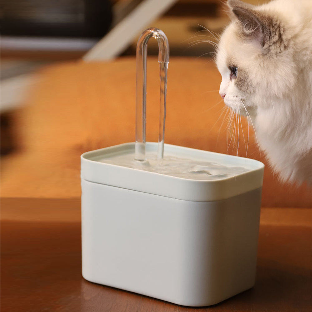 Automatic Cat Water Fountain: The Purrfect Hydration Solution for Your Feline Friend